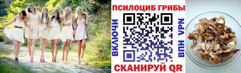 Галлюциногенные грибы Cubensis  где продают   Балтийск 